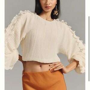 Endless Rose Cropped Plissé Blouse